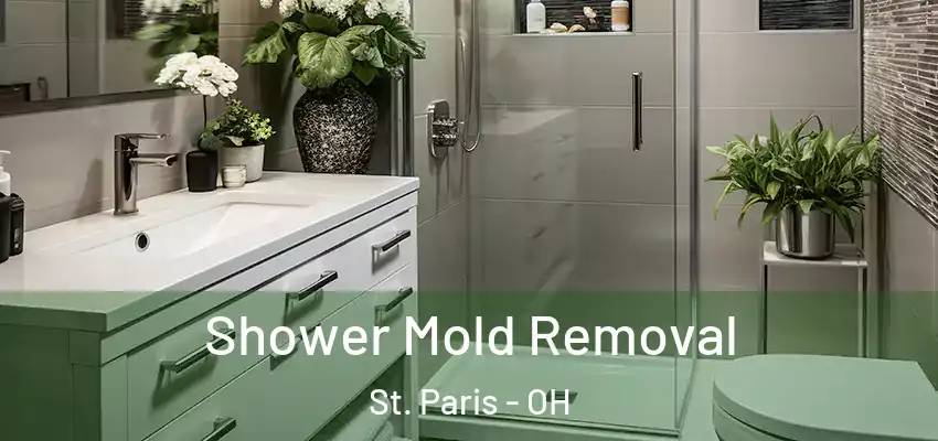  Shower Mold Removal St. Paris - OH