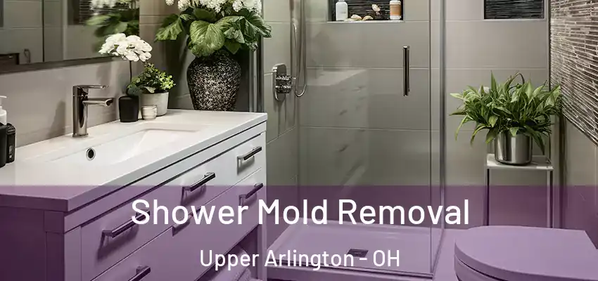  Shower Mold Removal Upper Arlington - OH
