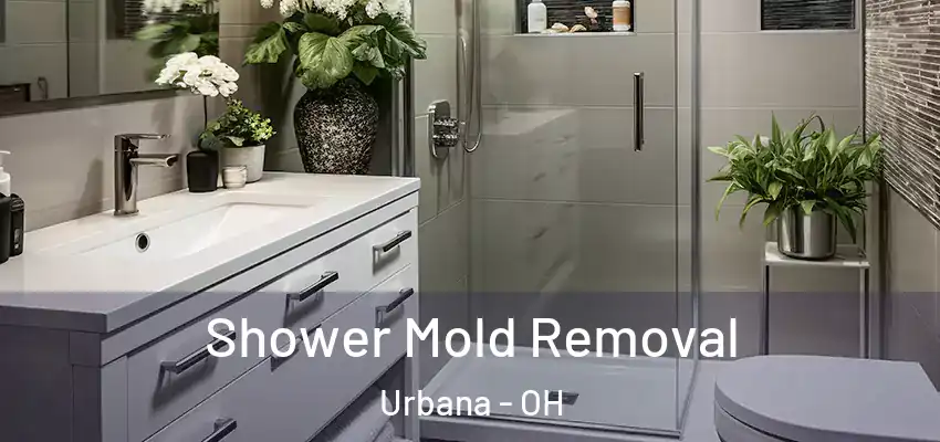  Shower Mold Removal Urbana - OH