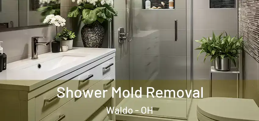  Shower Mold Removal Waldo - OH