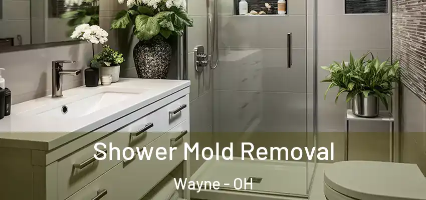  Shower Mold Removal Wayne - OH