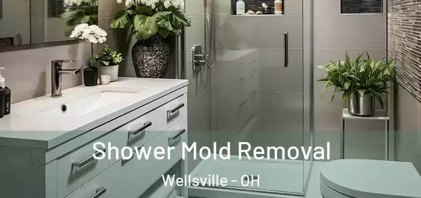  Shower Mold Removal Wellsville - OH