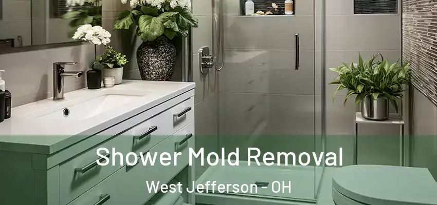  Shower Mold Removal West Jefferson - OH