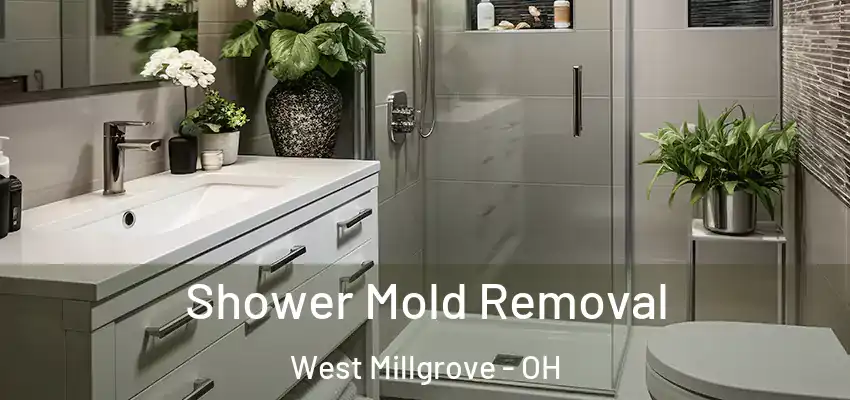  Shower Mold Removal West Millgrove - OH